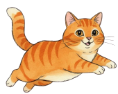 An orange tabby cat lying on a surface, looking at the camera.