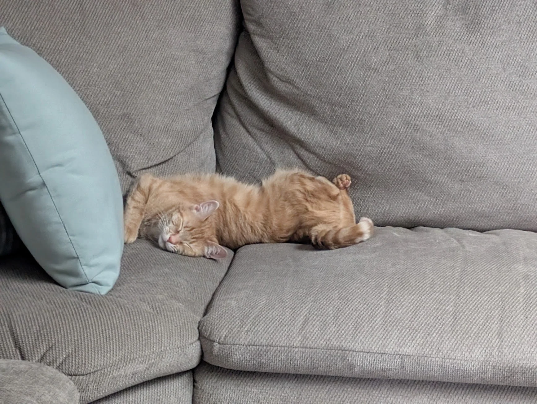 Toes sleeping on couch 3.jpg