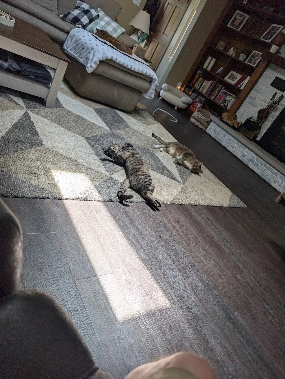 Pancake and Pepsee.jpg