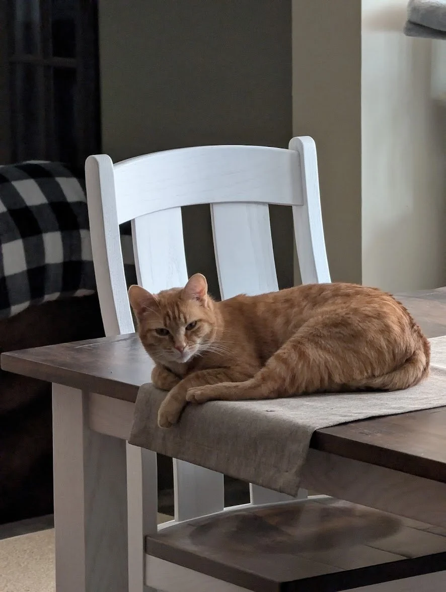Toes on Kitchen table.jpg