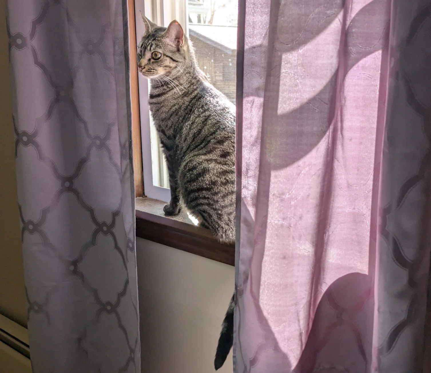Pancake Window bedroom.jpg