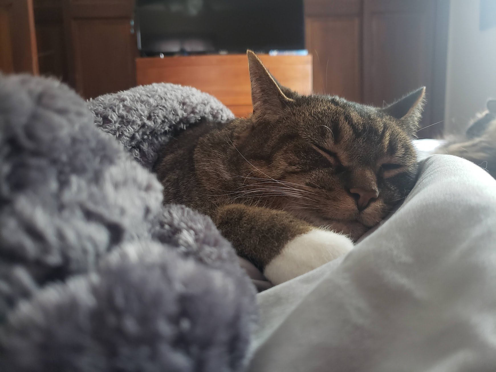 20201227_114222.jpg