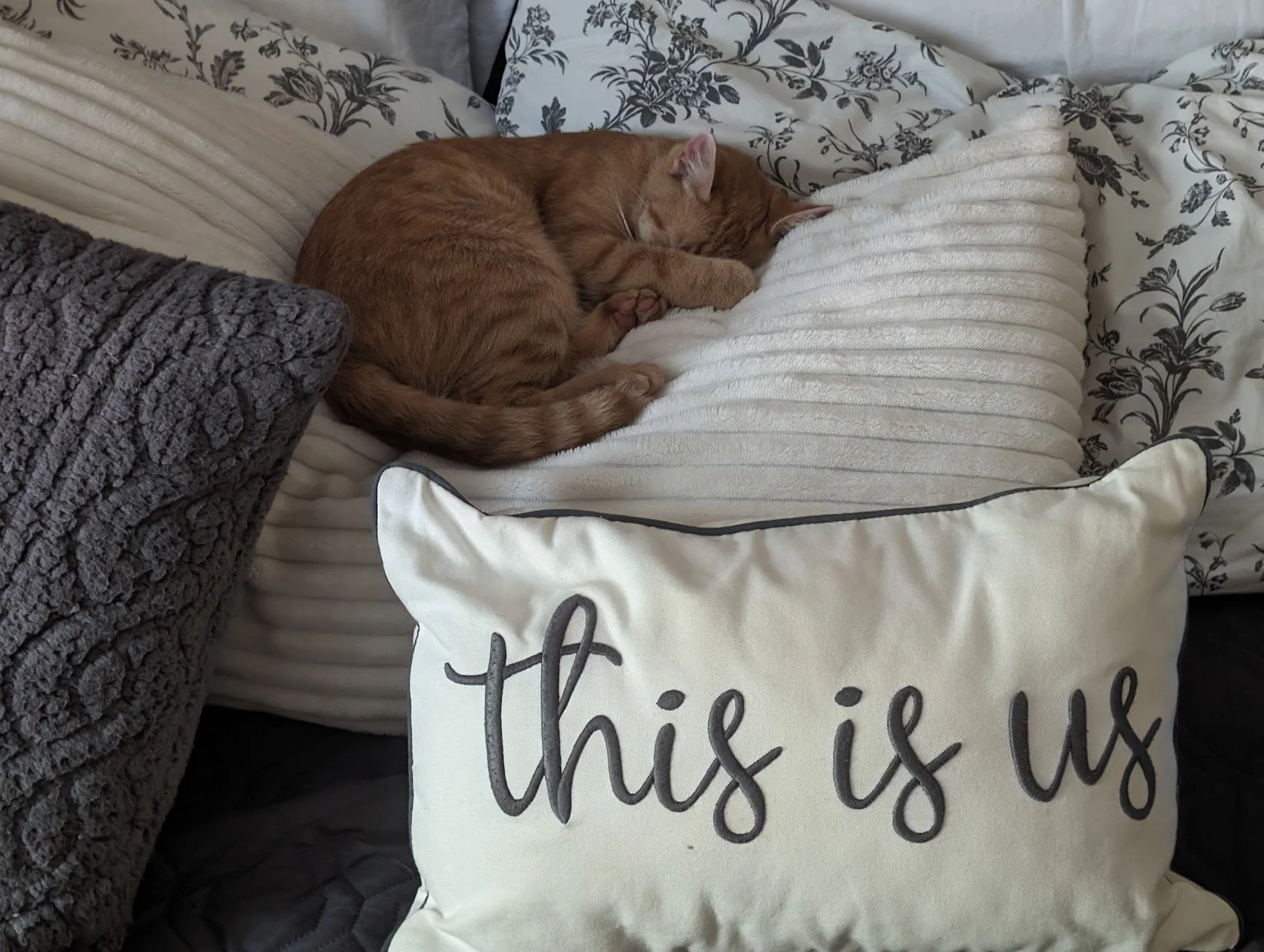 Toes sleeping on bed pillows.jpg