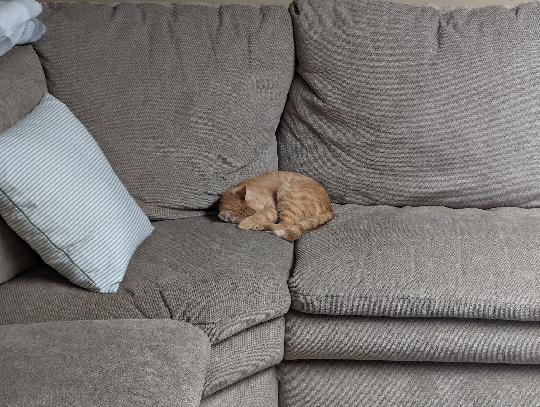 Toes sleeping on couch 2.jpg