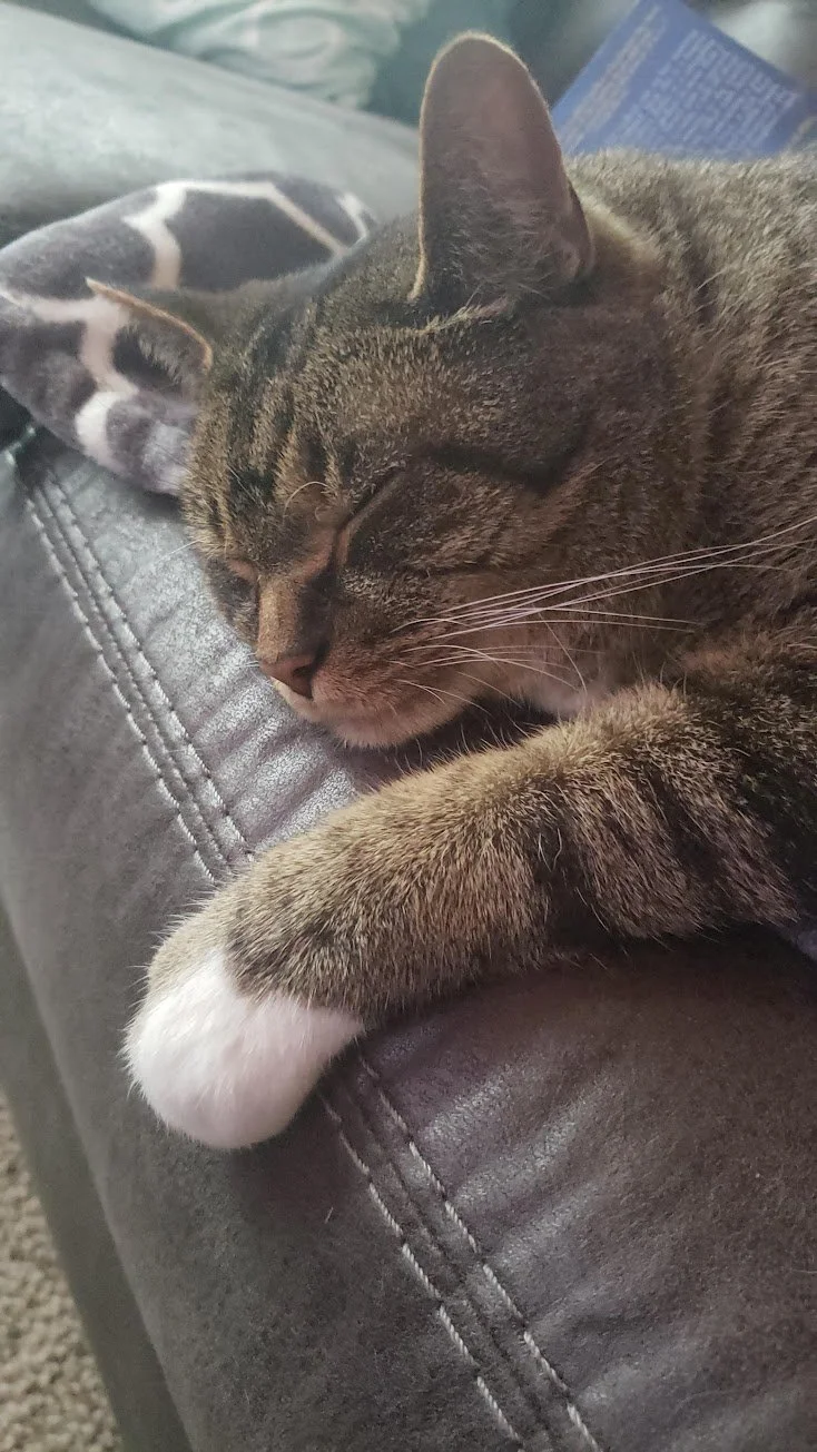 20191006_153501.jpg
