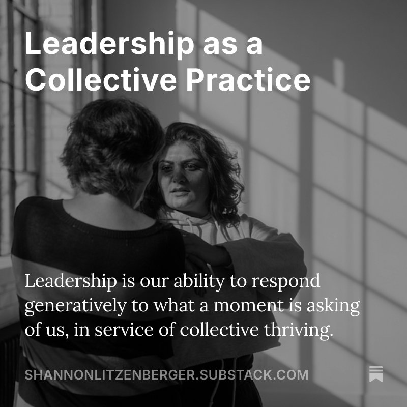 Shannon Litzenberger - Article
