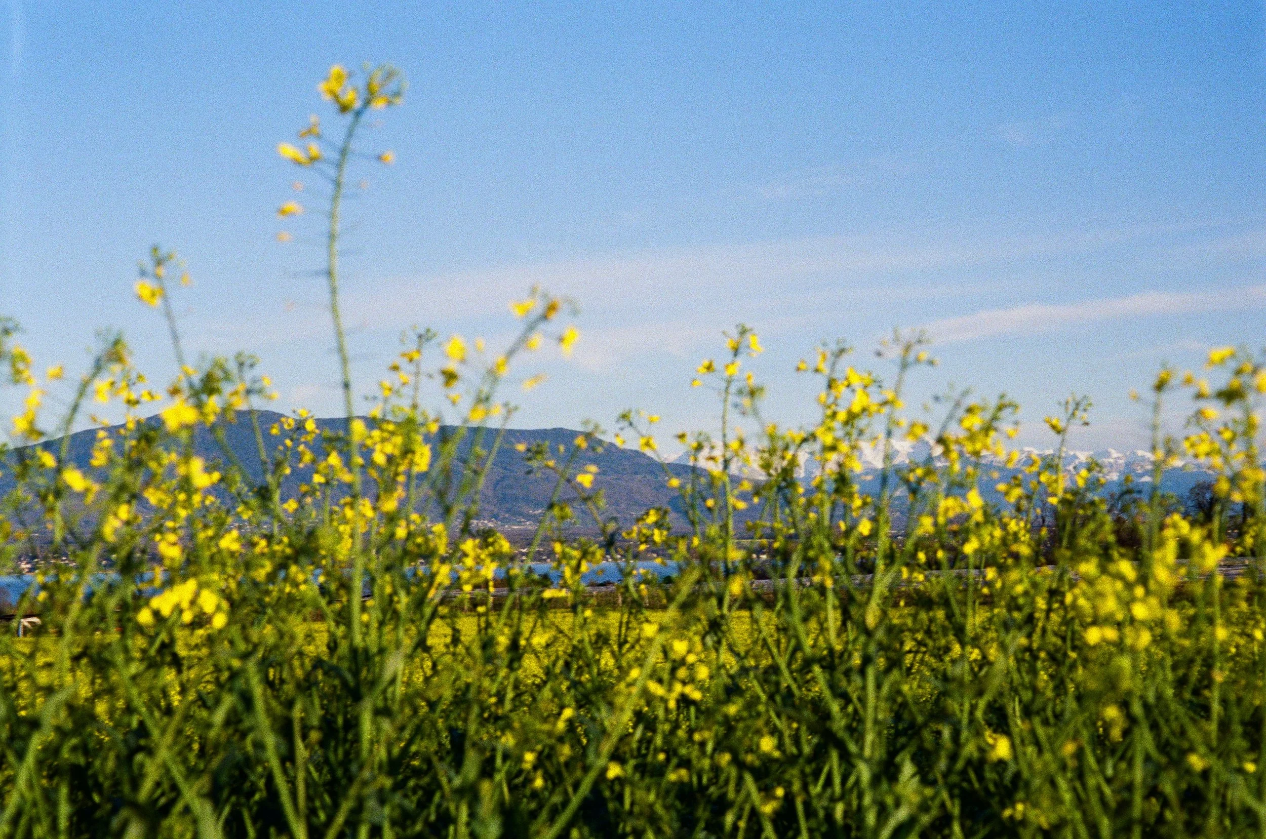 IMG_1278.JPG