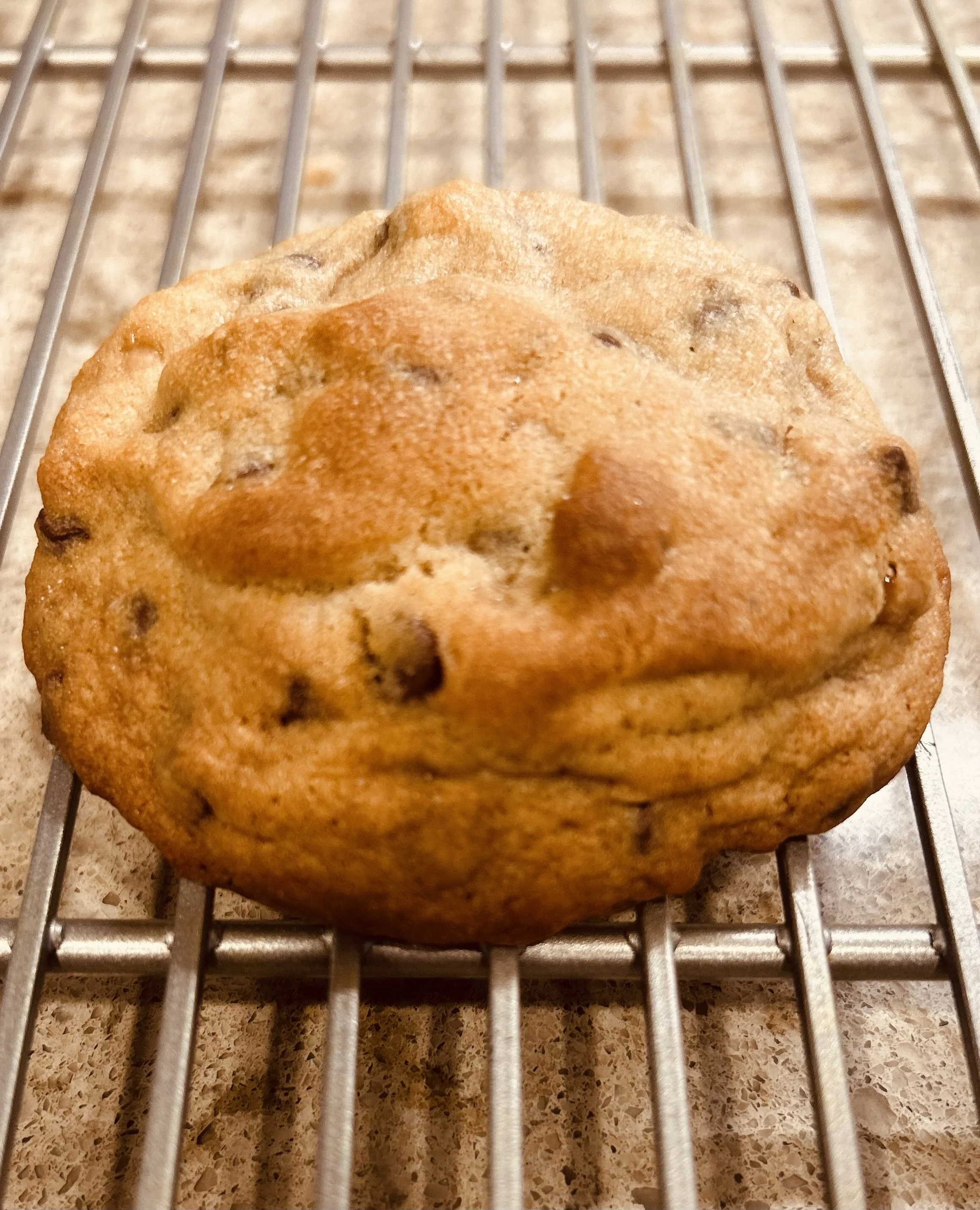 Chocolate Chip Cookie - James' Favorite