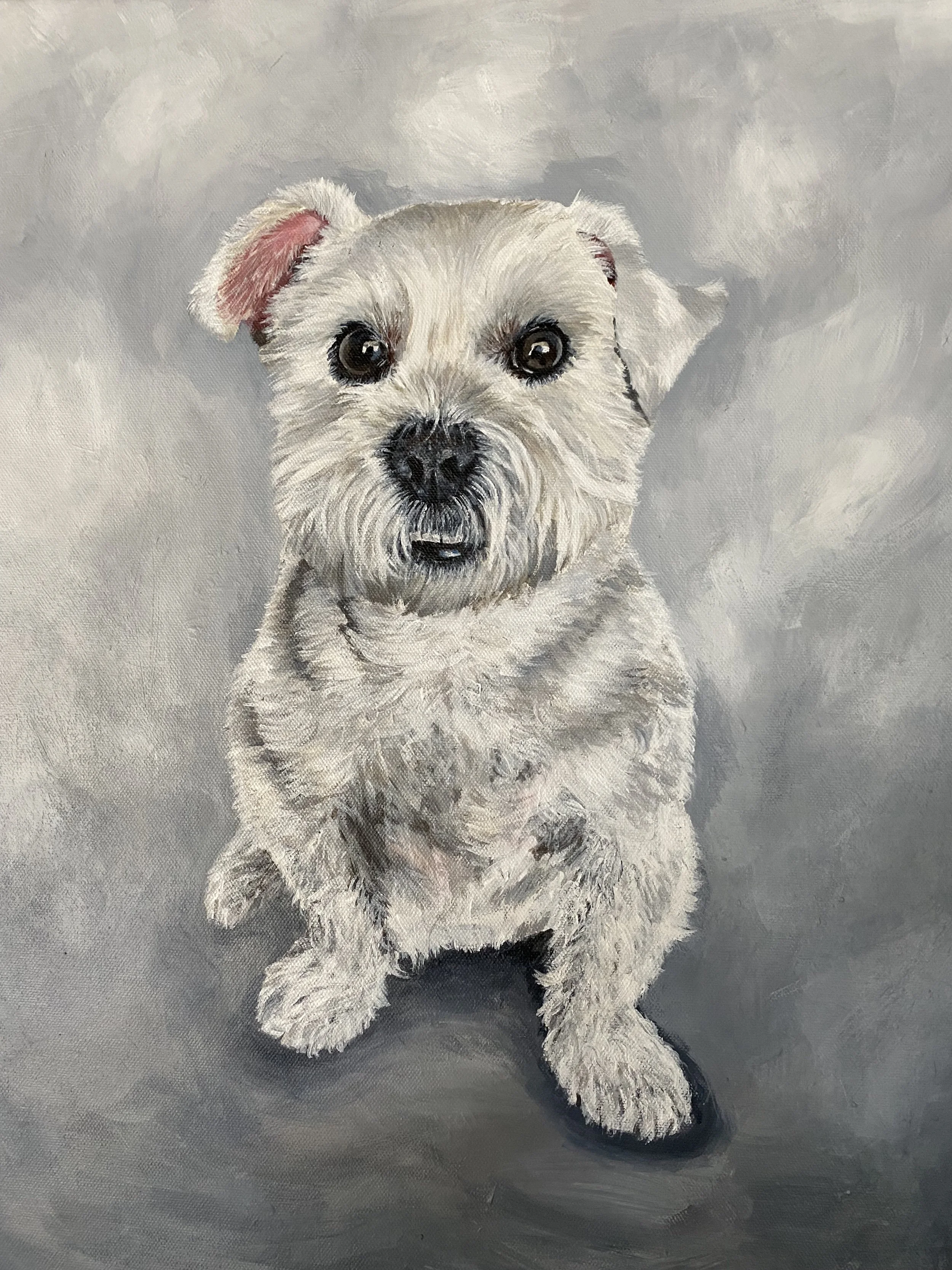 A painting of a fluffy white puppy with black eyes, sitting on a gray background.