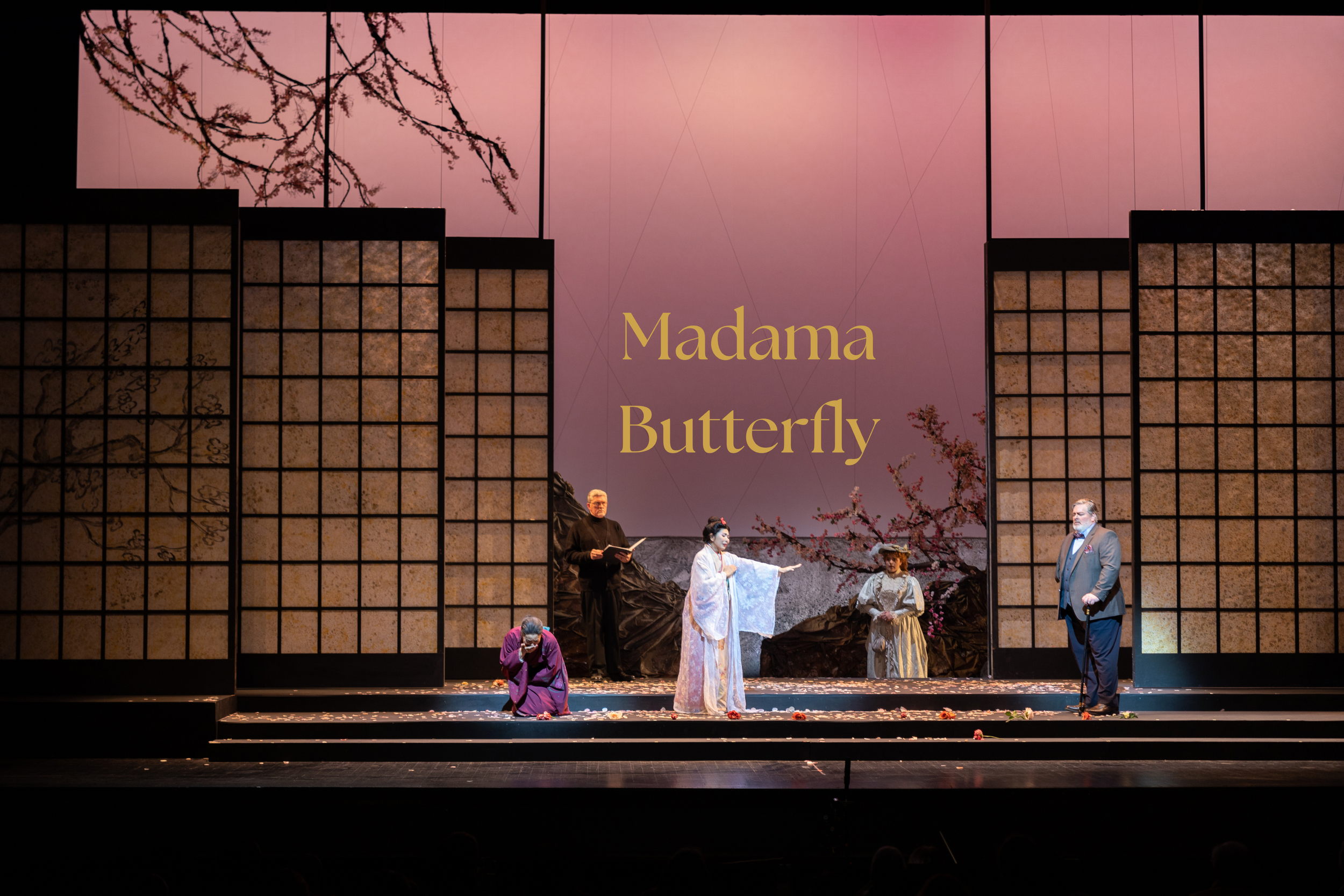 Madama Butterfly Rentable Show