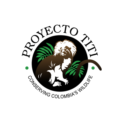 Proyecto Titi Logo