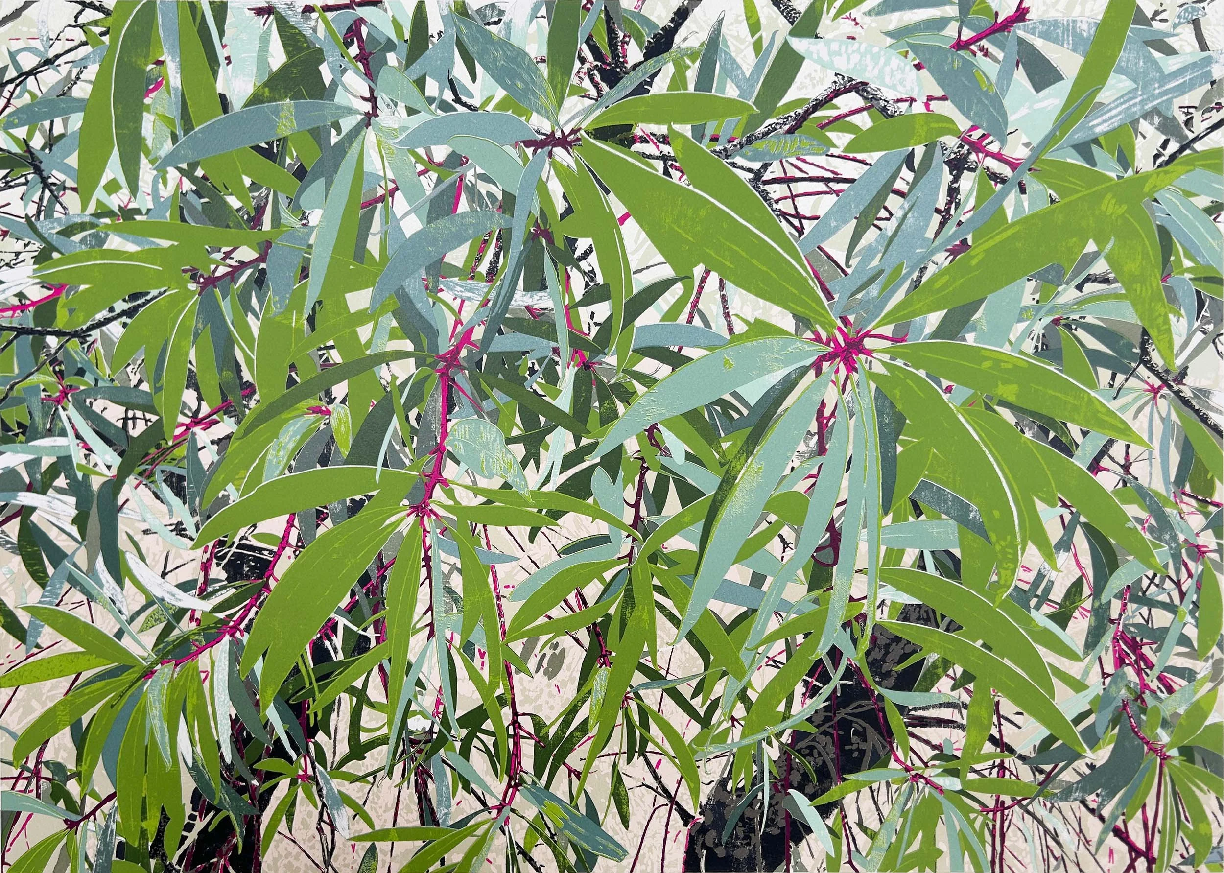 Where The Peppermint Trees Grow