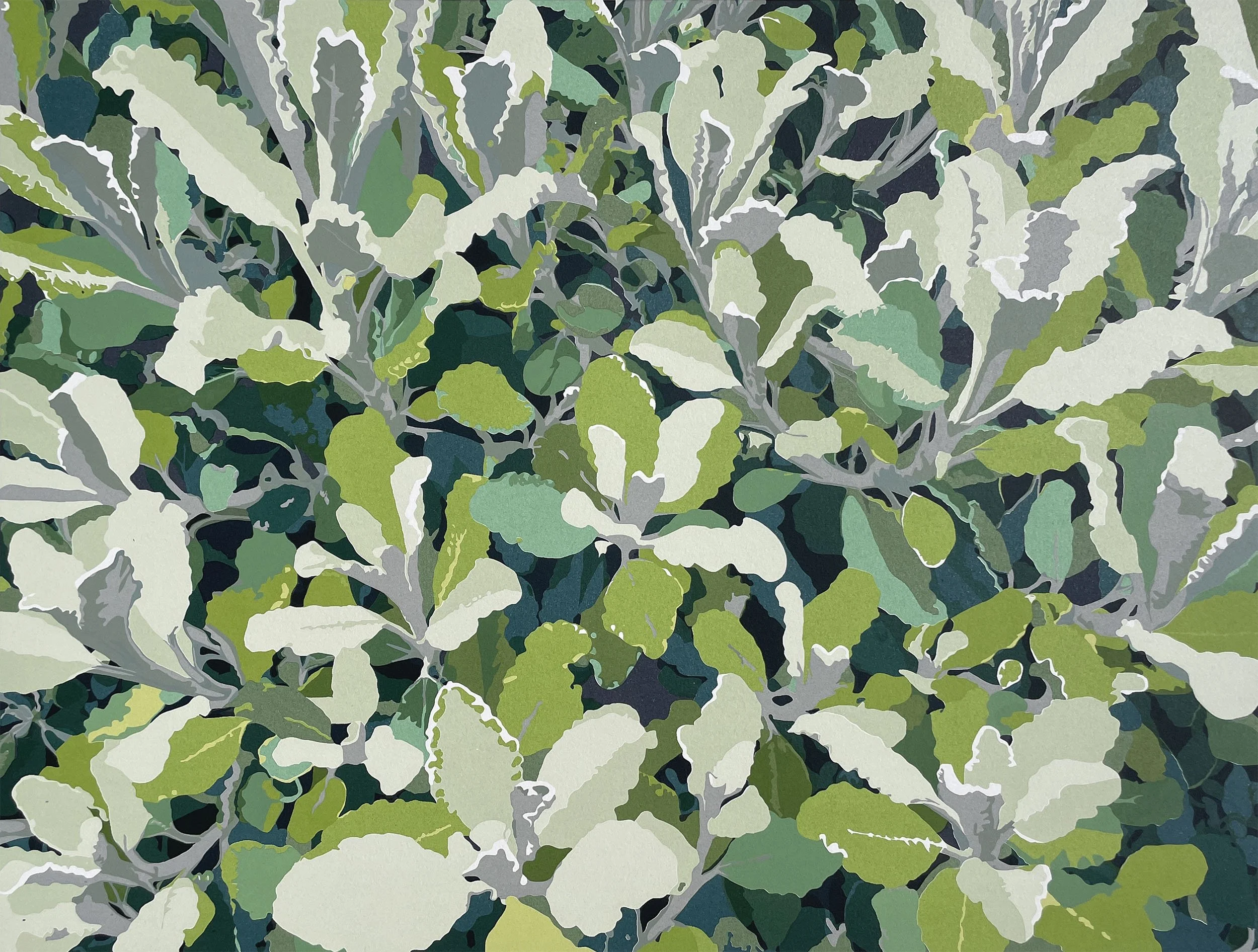 Tall Poppies I