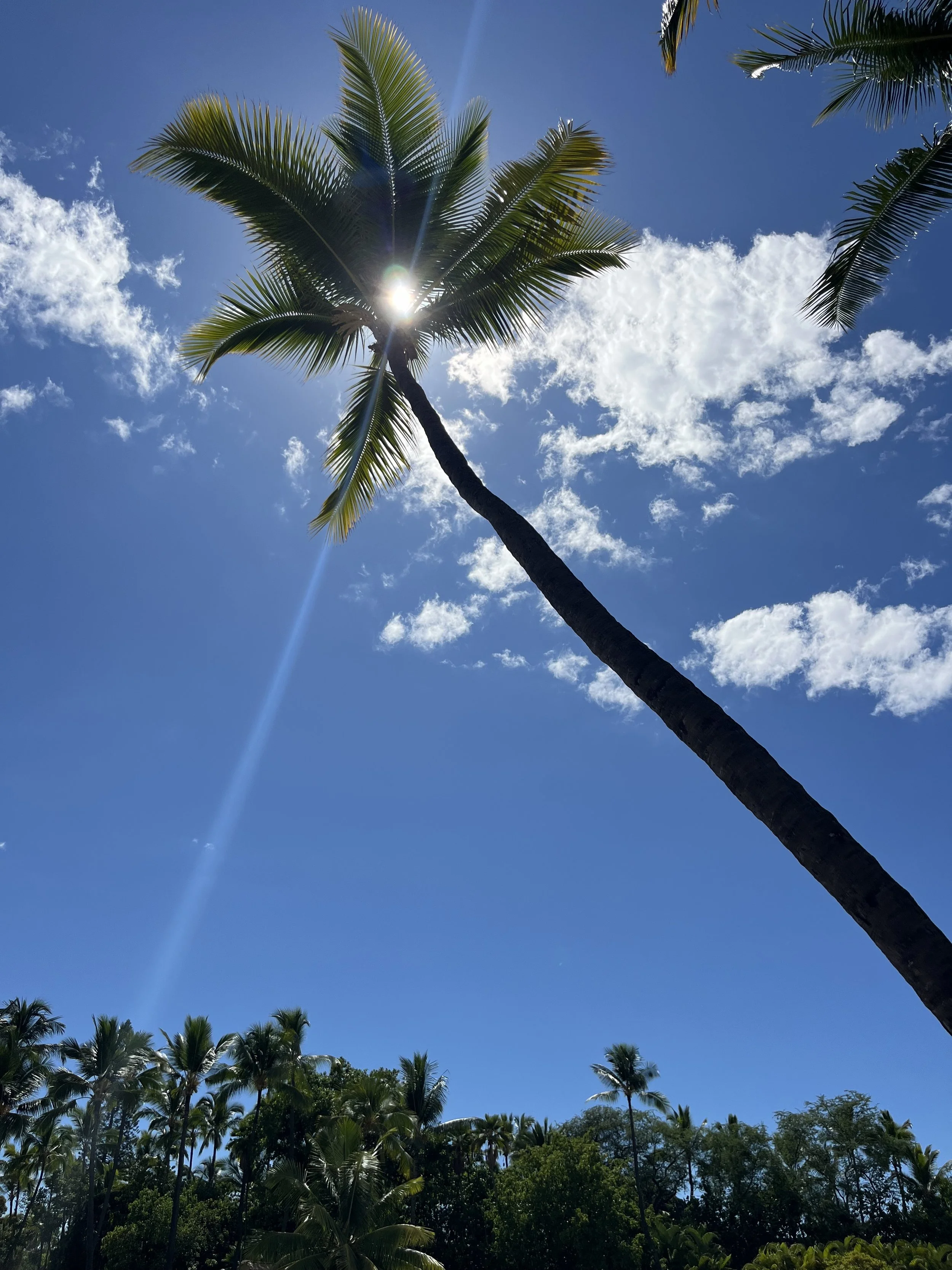 IMG_0698.jpeg