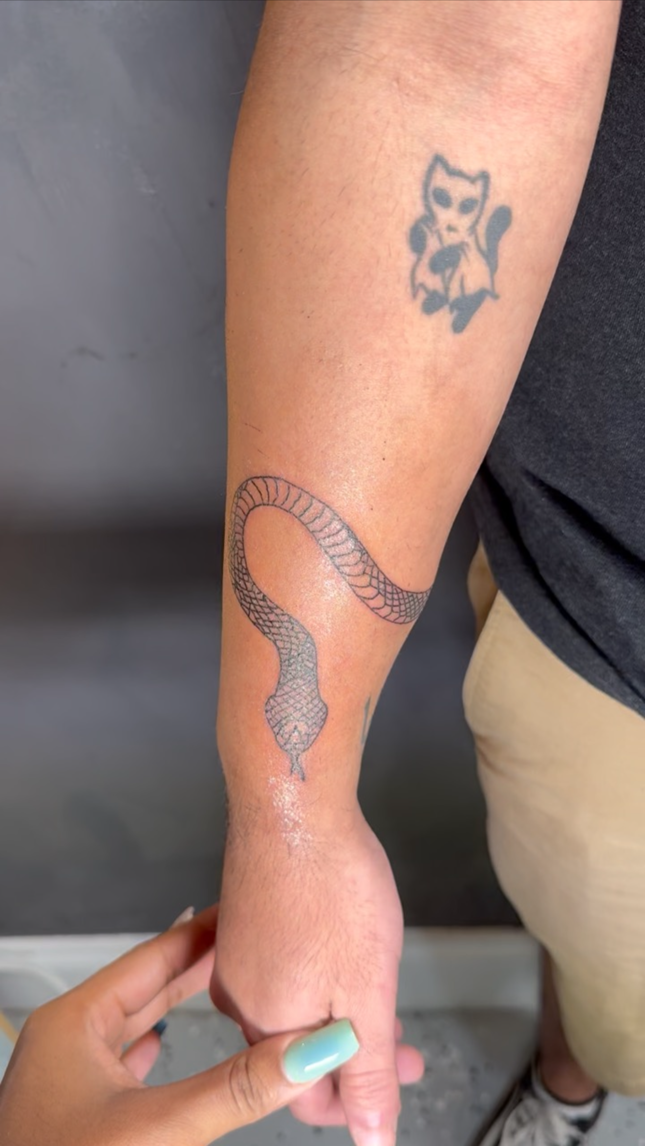 A tattoo of a snake on a person's forearm and a tattoo of a fox with wings on the upper arm.