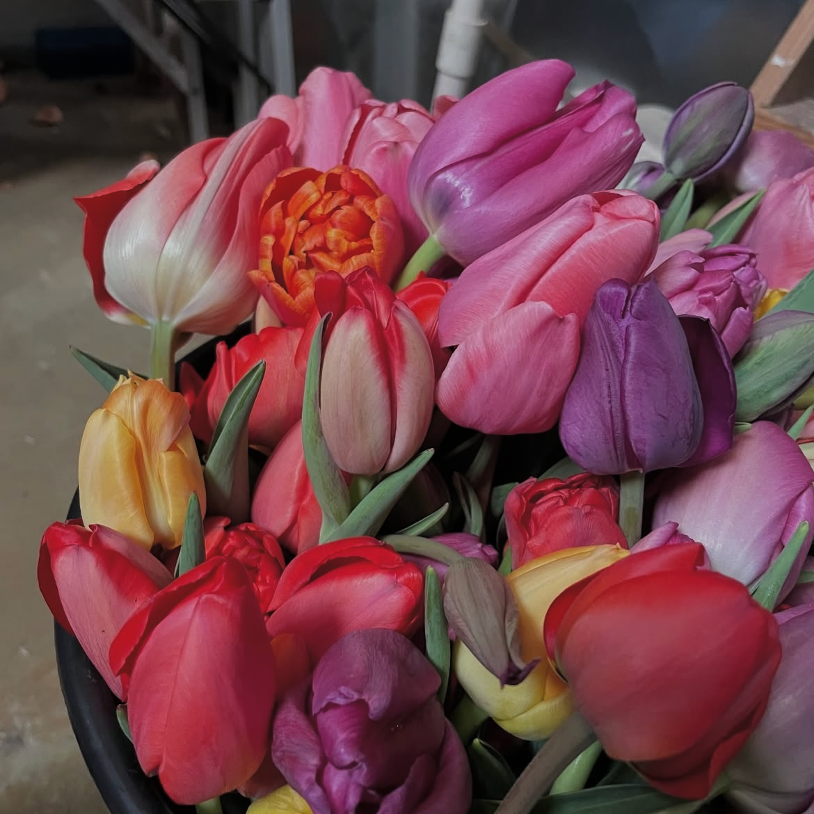 May 9th: Mother’s Day at the Market