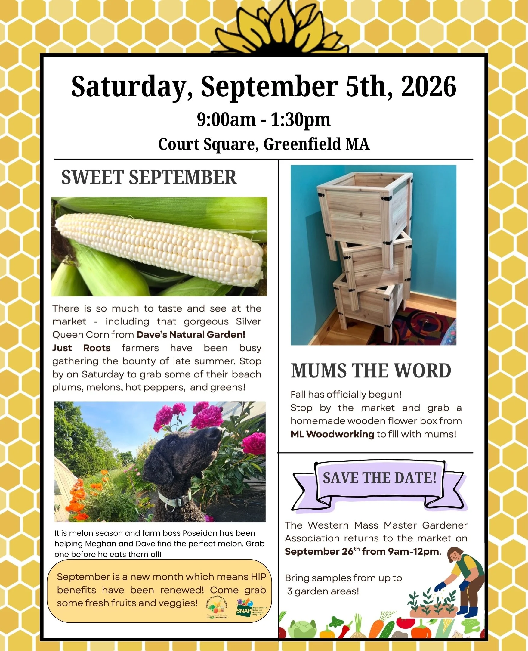 Sweet September 🌽

There is so much to taste and see at the market - including that gorgeous Silver Queen Corn from @daves_natural_garden_ !

@just_roots farmers have been busy gathering the bounty of late summer. Stop by on Saturday to grab some of
