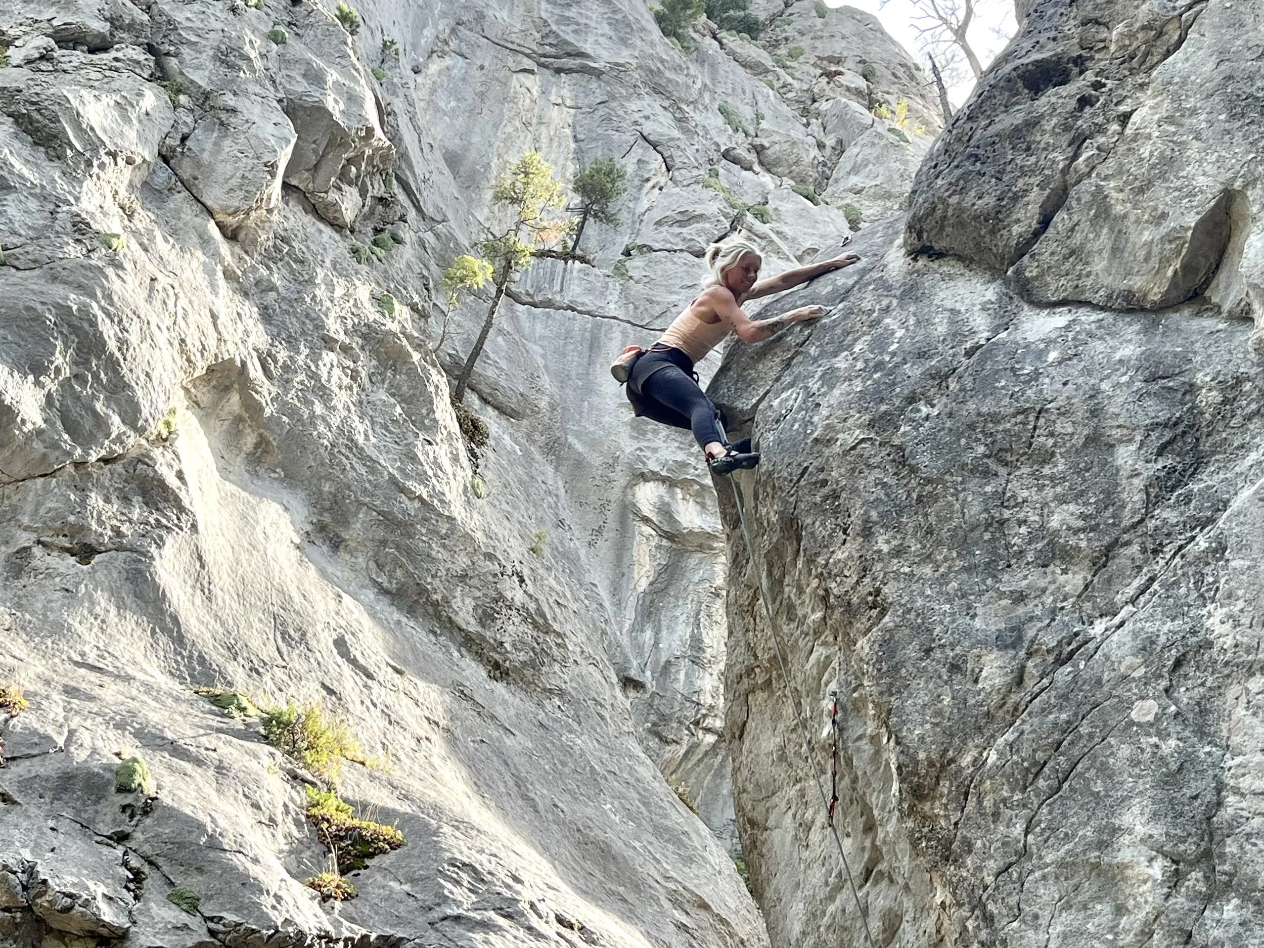 A woman rock climbing on a steep rocky cliff in a canyon, with a harness and climbing shoes, surrounded by sparse vegetation and small trees.