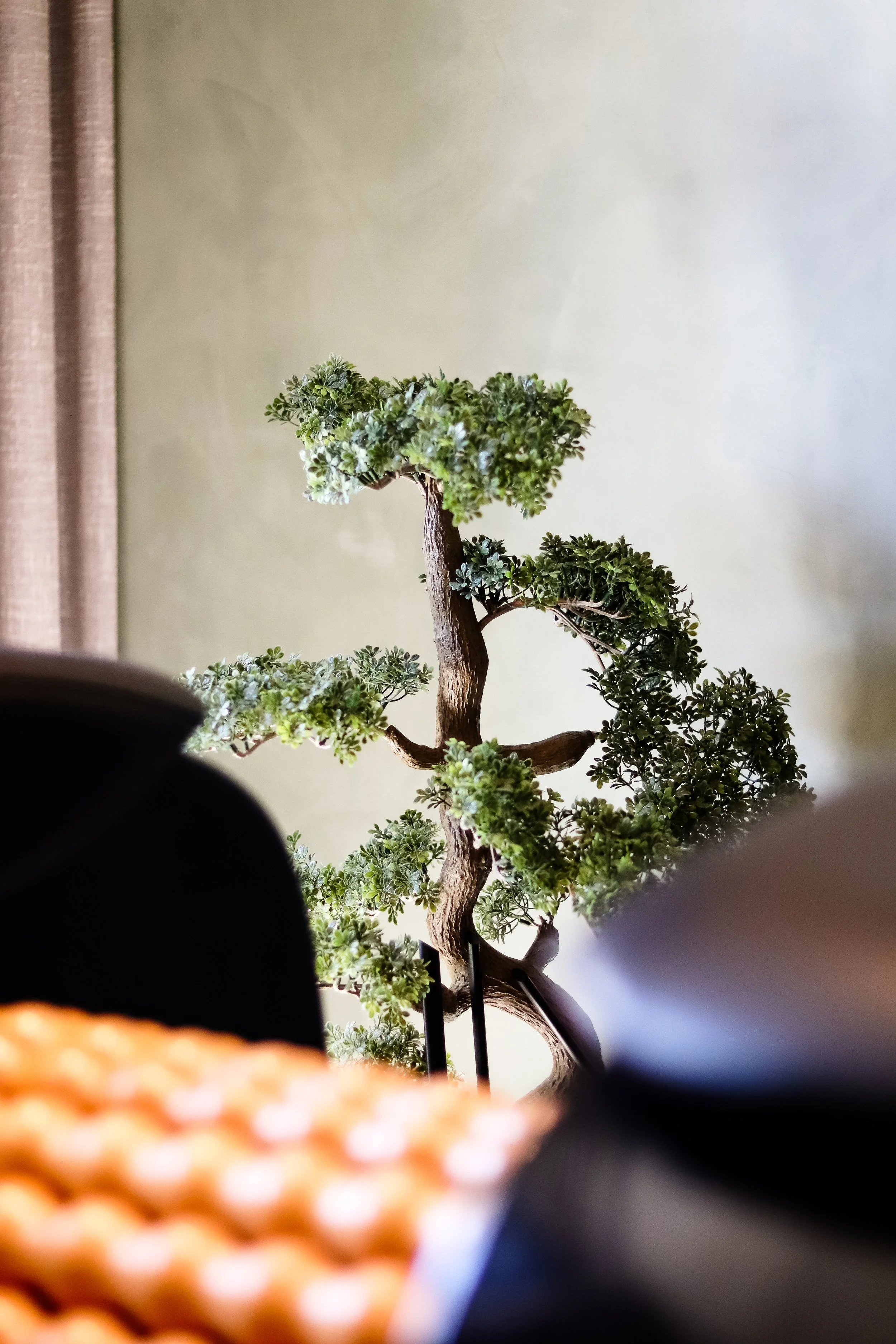 Close-up of a potted bonsai tree with a blurred snack or biscuit in the foreground, and a plain wall and curtain in the background.