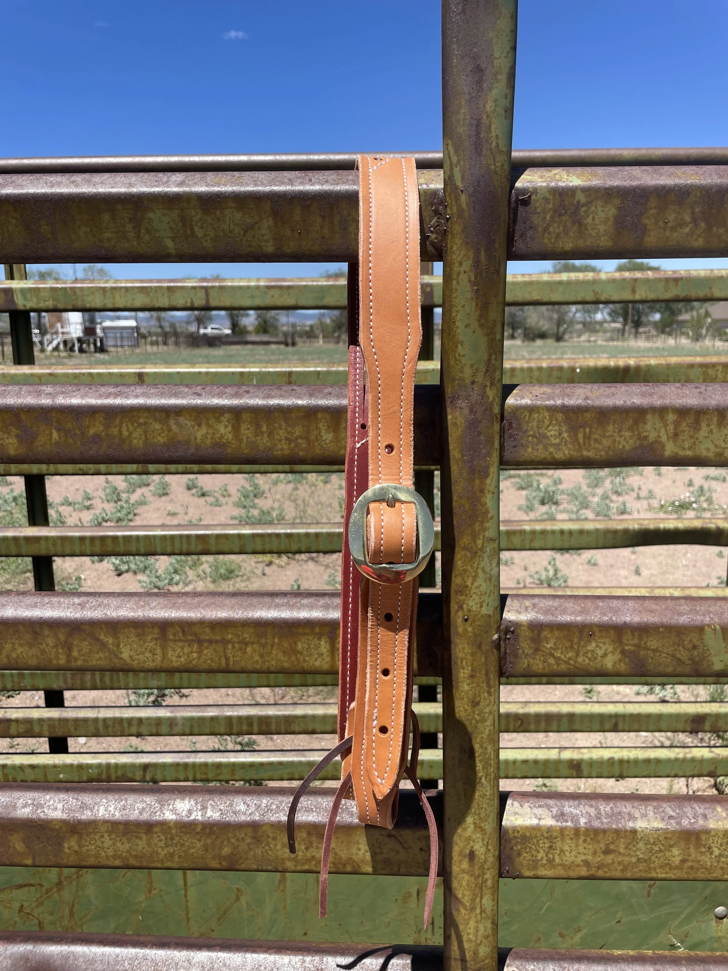 Split ear headstall
