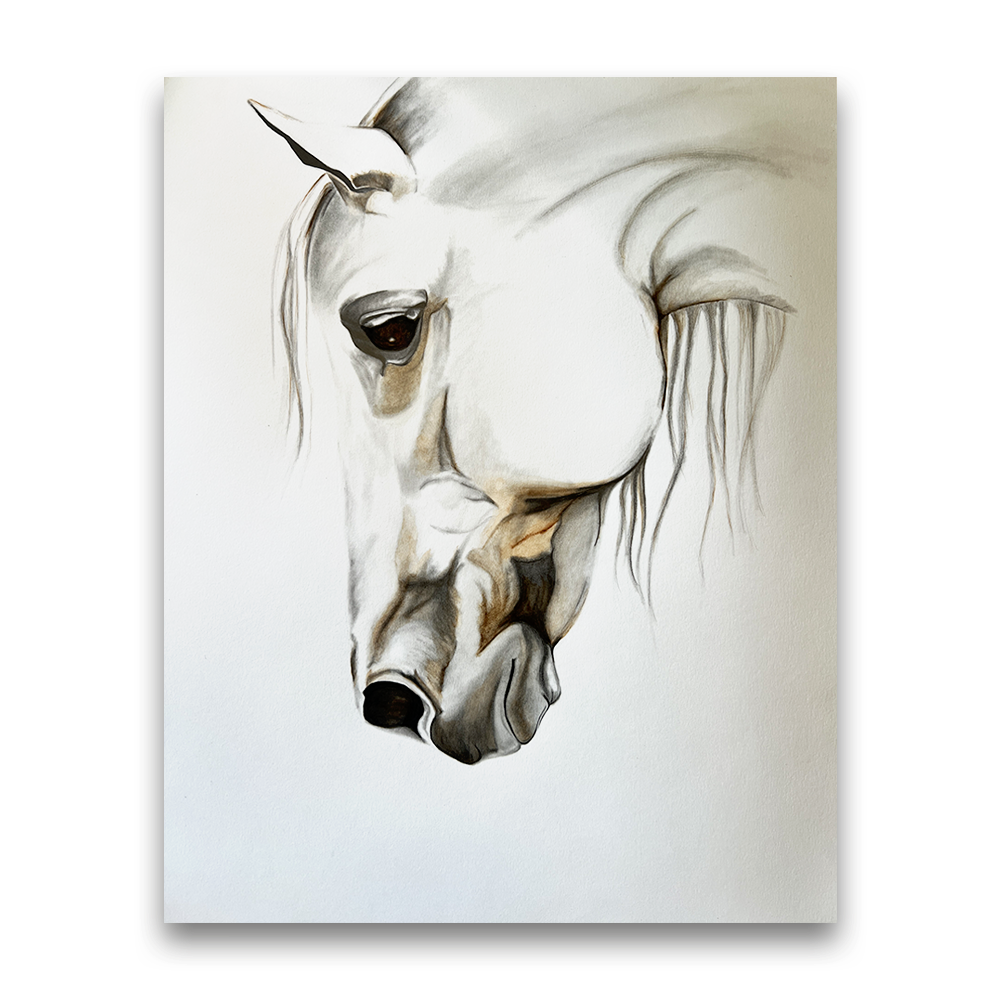Light Horse | 2024