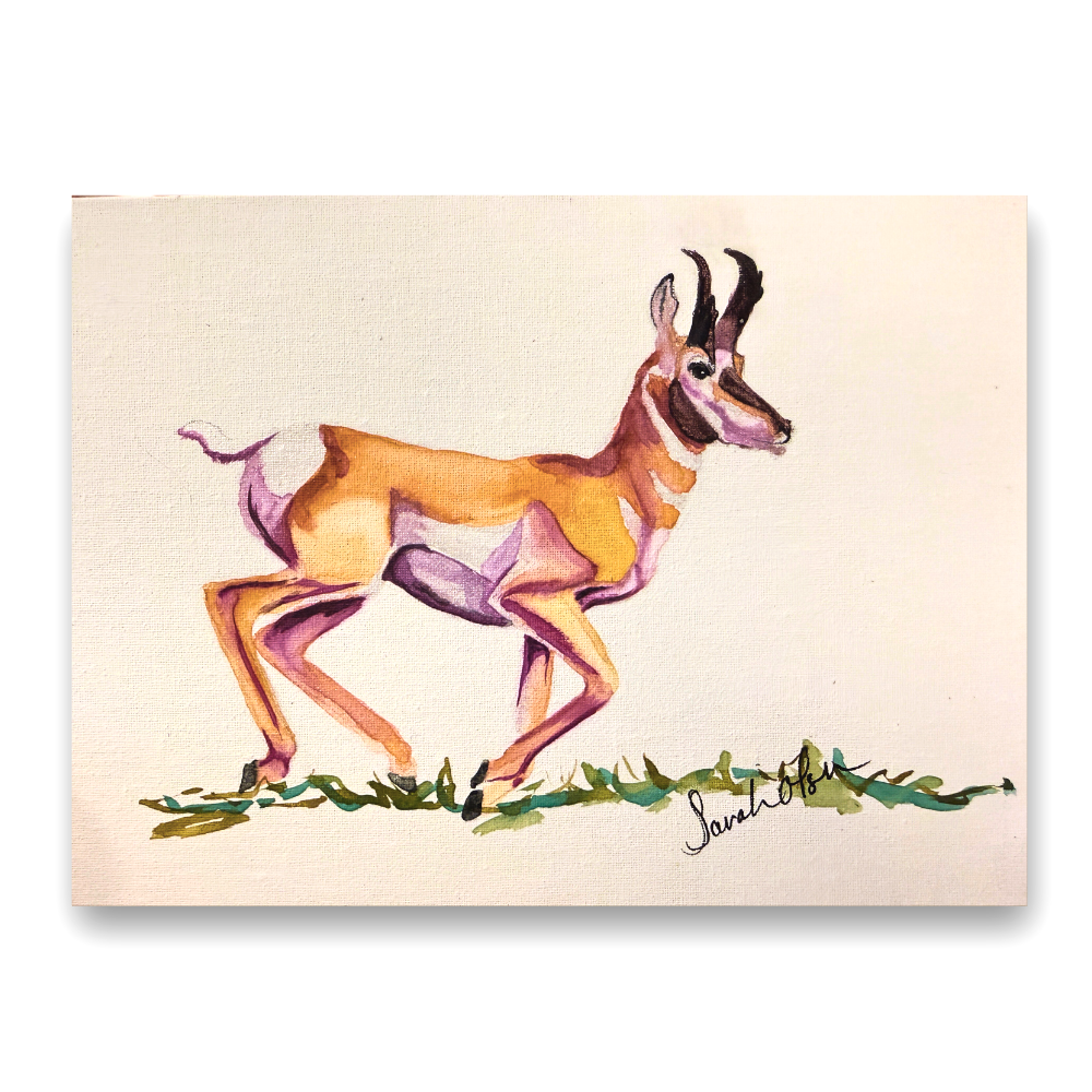 Goats A Runnin' | 2025