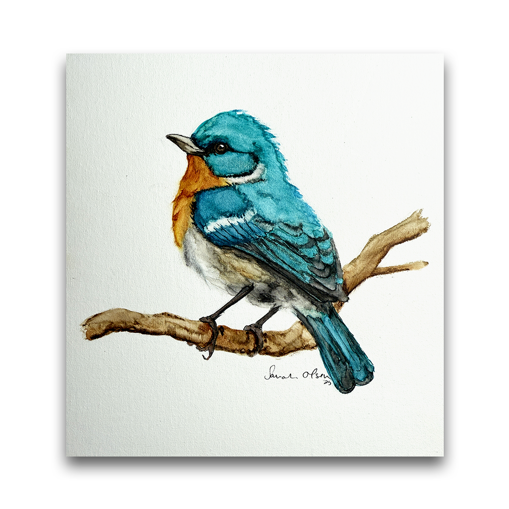 Bluebird | 2025