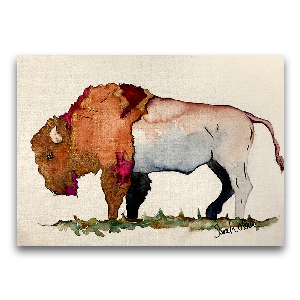 Purple Bison Landscape | 2025