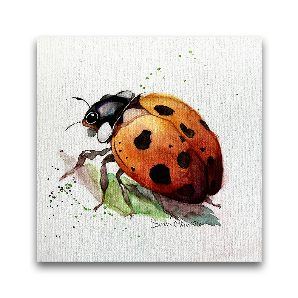 Ladybug | 2026