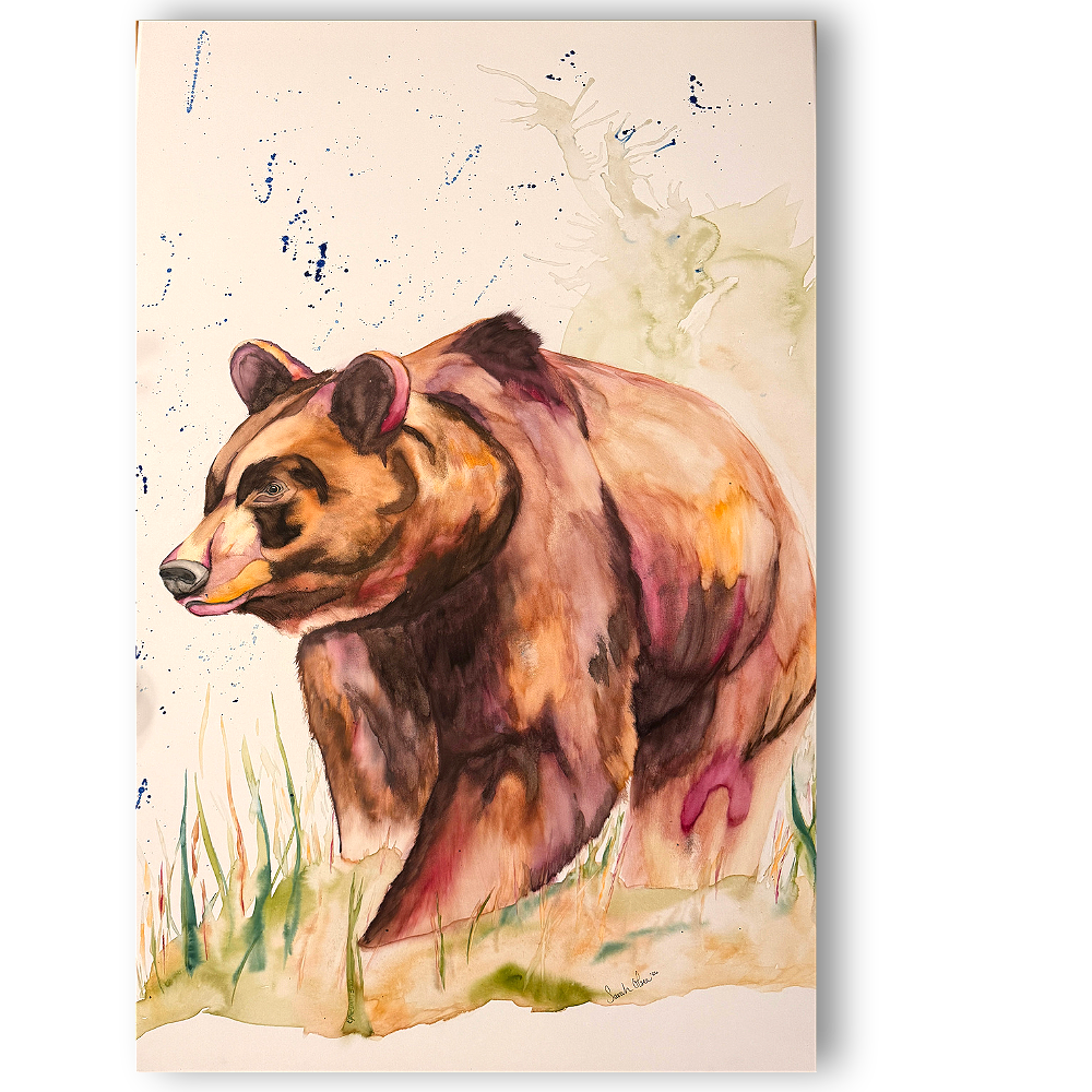 Bearly+Grassy-+Sarah+Olsen.png