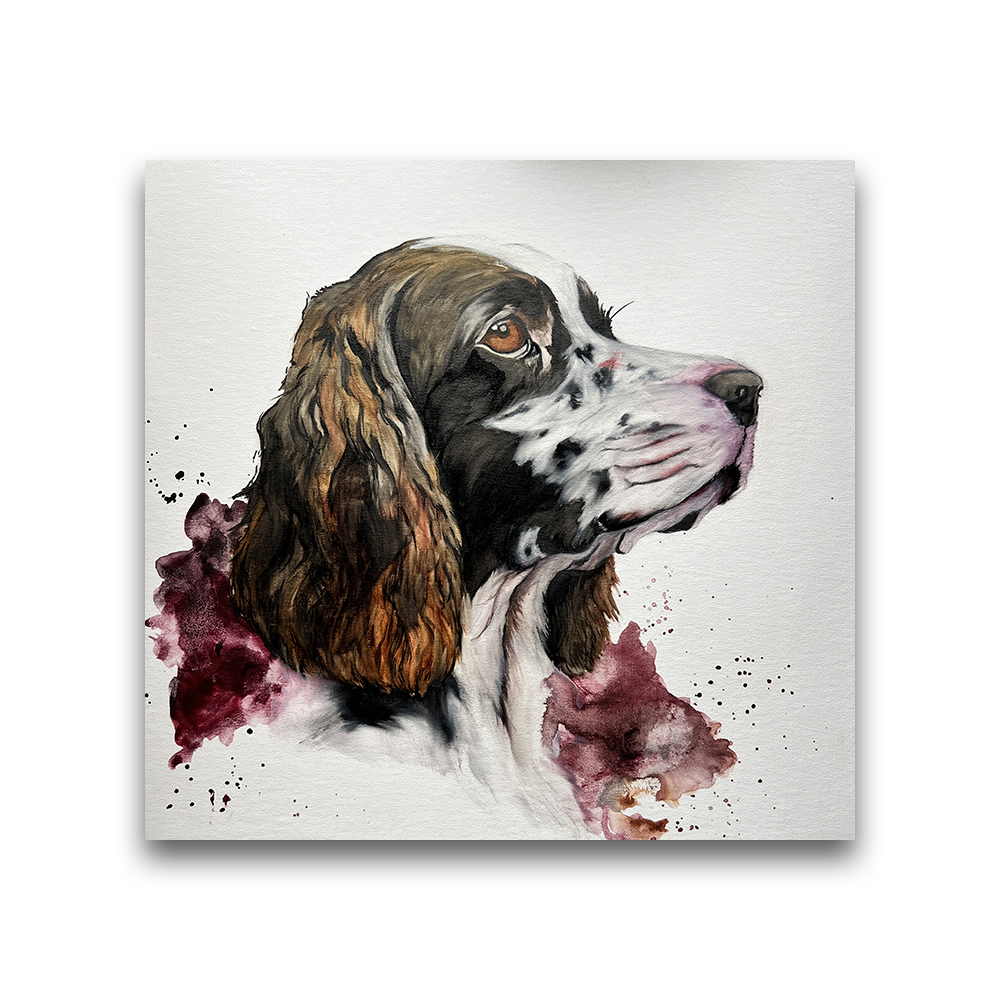 Spaniel | Commission by Sarah Olsen 2024