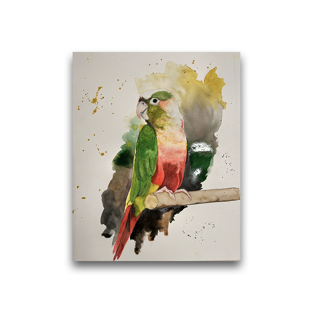 Parrot | Commission by Sarah Olsen 2024