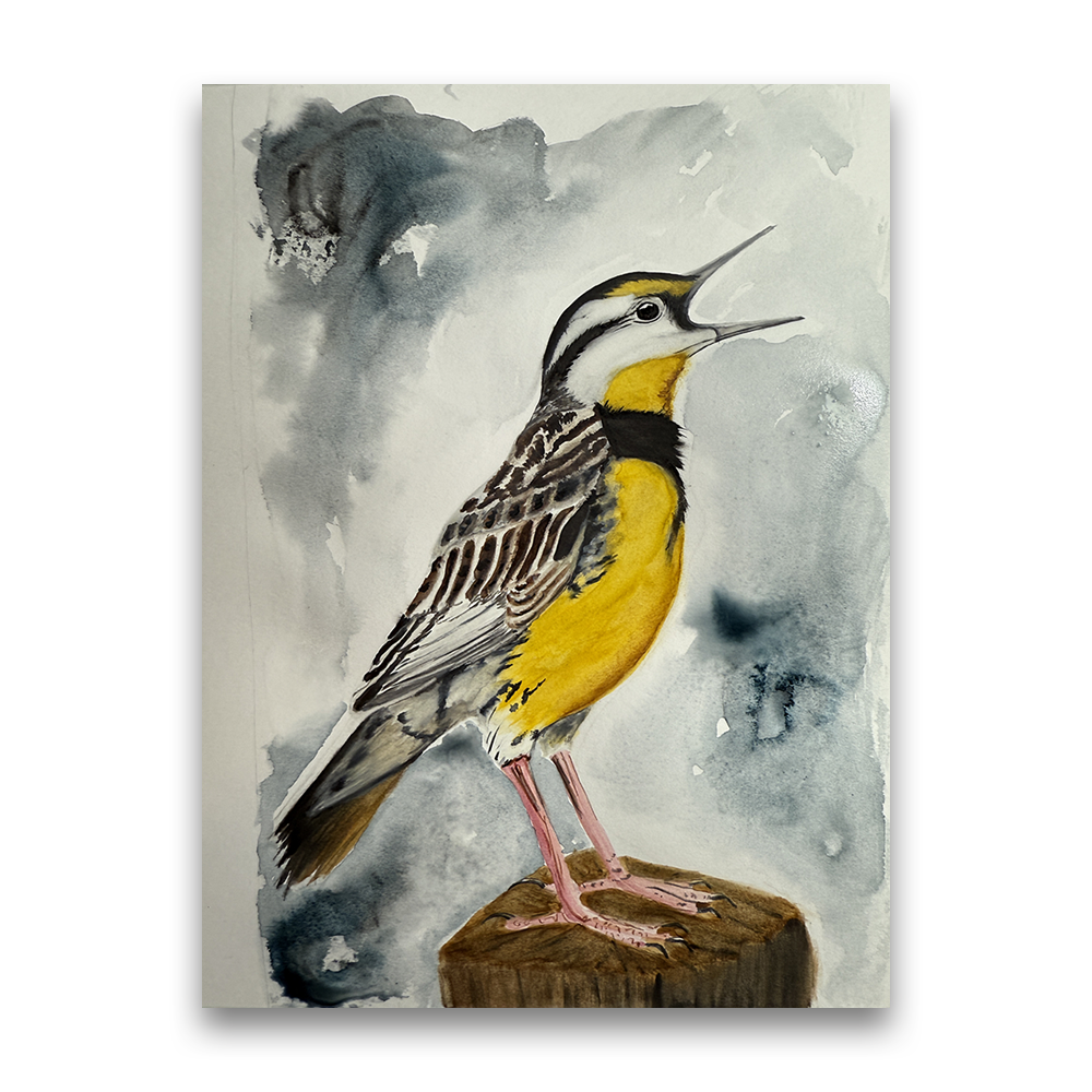 Song of the Meadowlark | 2025