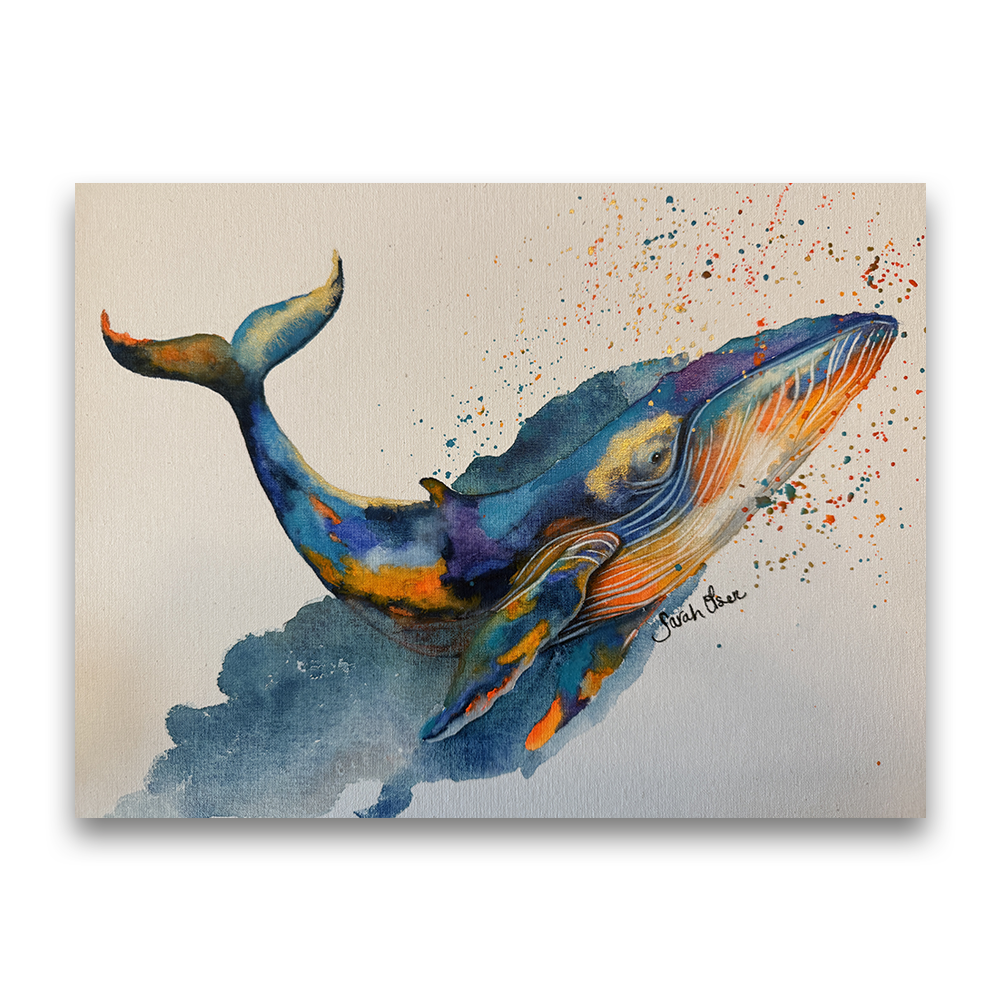 Splash of Color | 2025