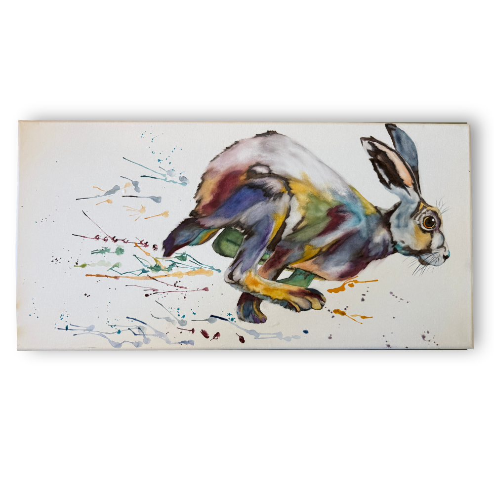 Hare on the Run | 2026