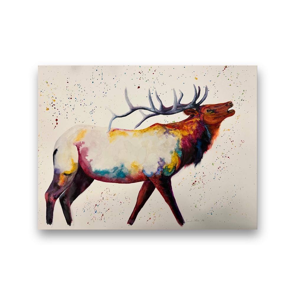 Elk in Fell Spectrum | 2024