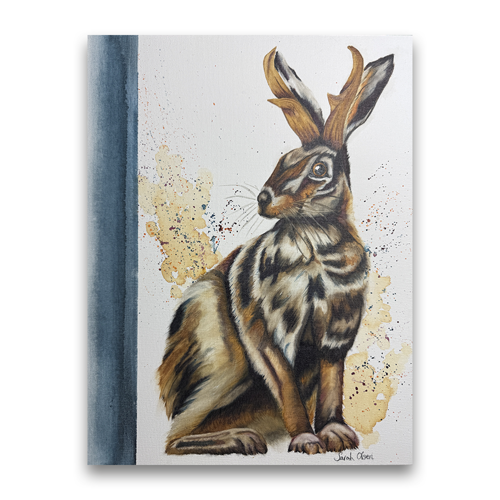 Jackalope 2.0 | 2025