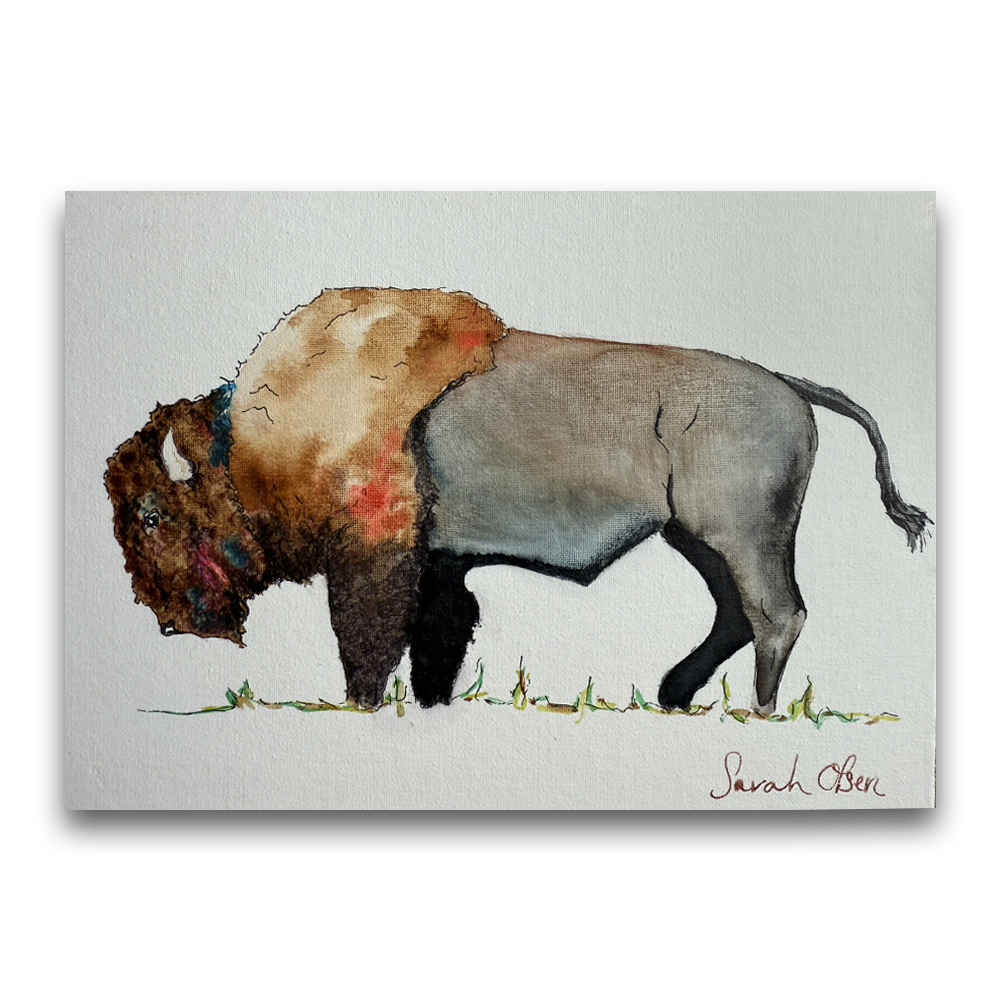 Bison Landscape | 2025