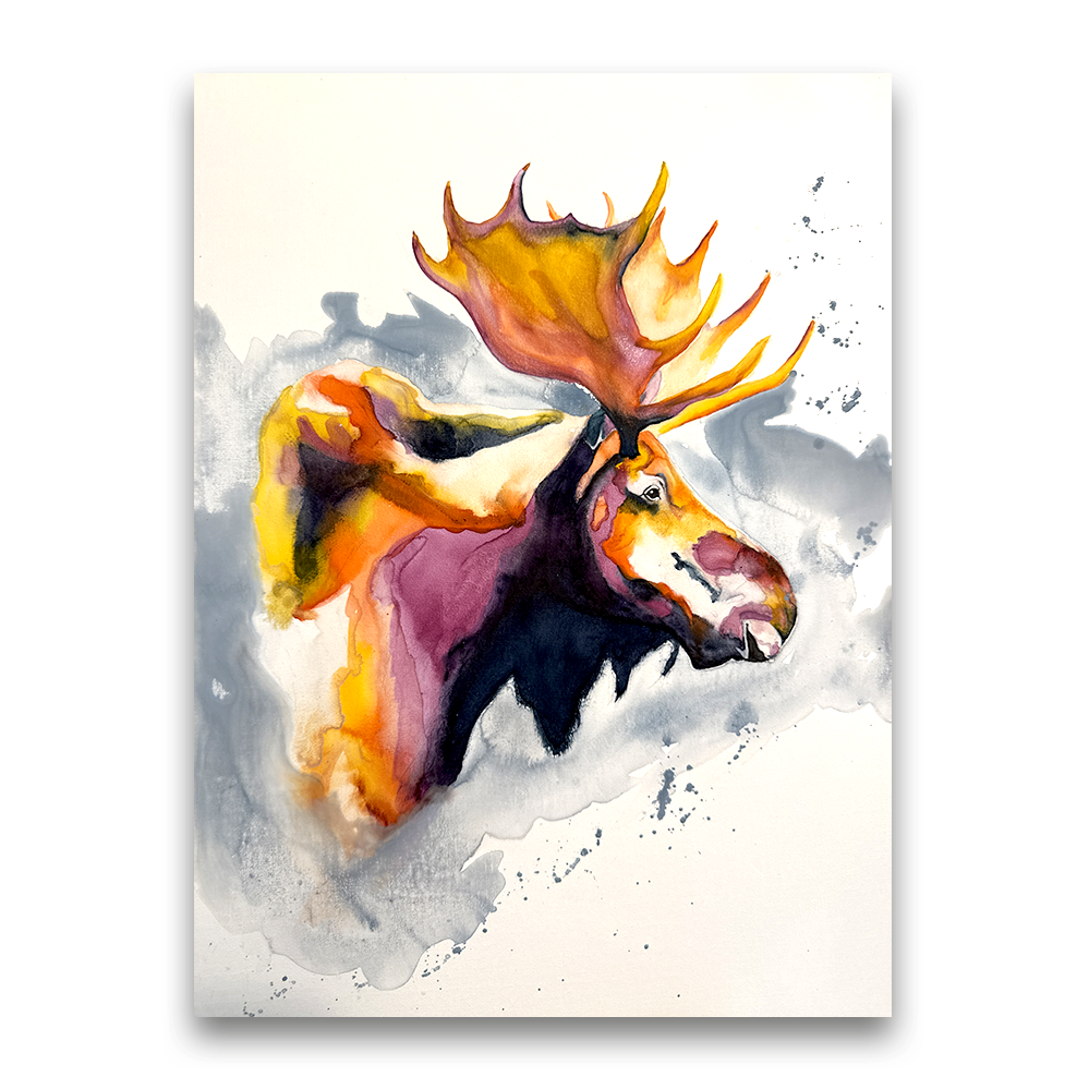 Sunset Moose | 2026