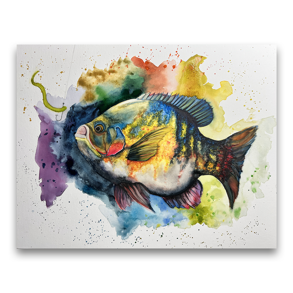 Bluegill | 2024