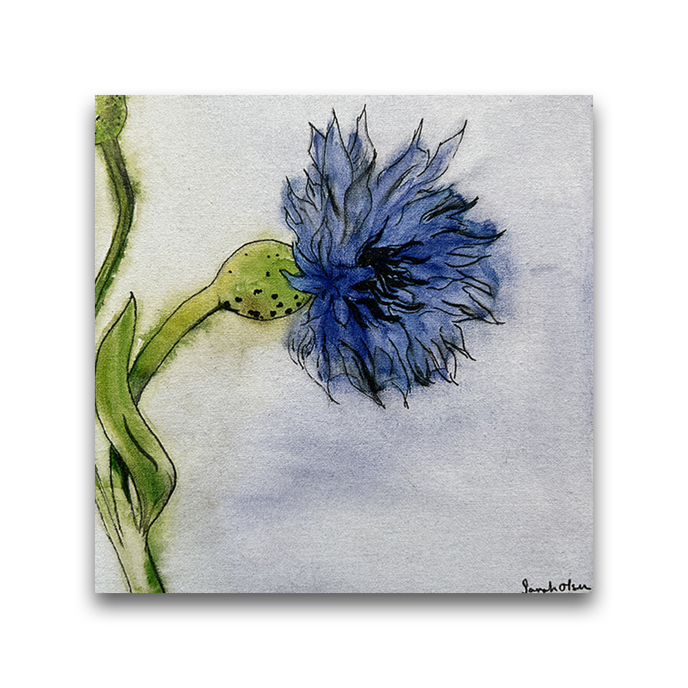 Blue Thistle | 2023