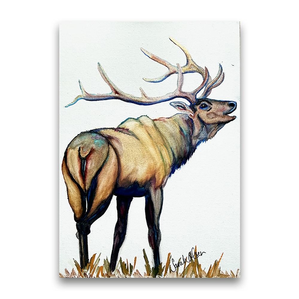 The Elk | 2025