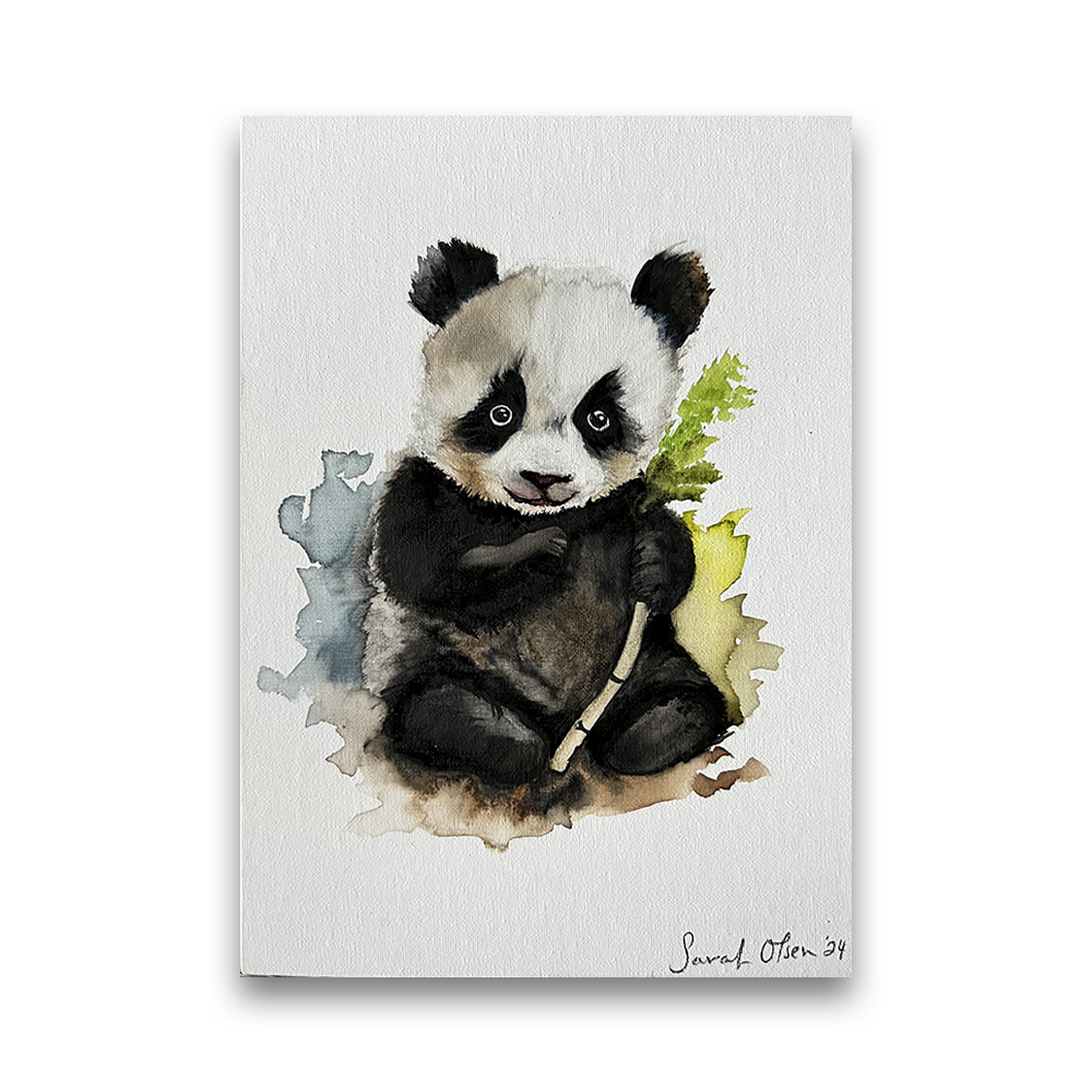Panda | 2024
