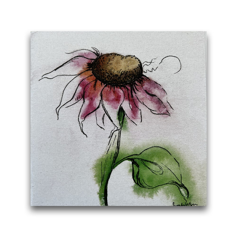 Coneflower | 2023