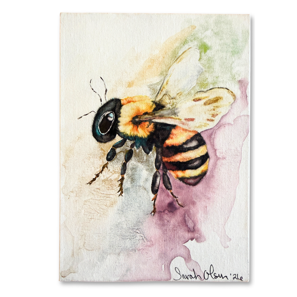Bee Colorful | 2026