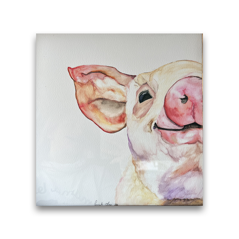 Wilbur | 2022