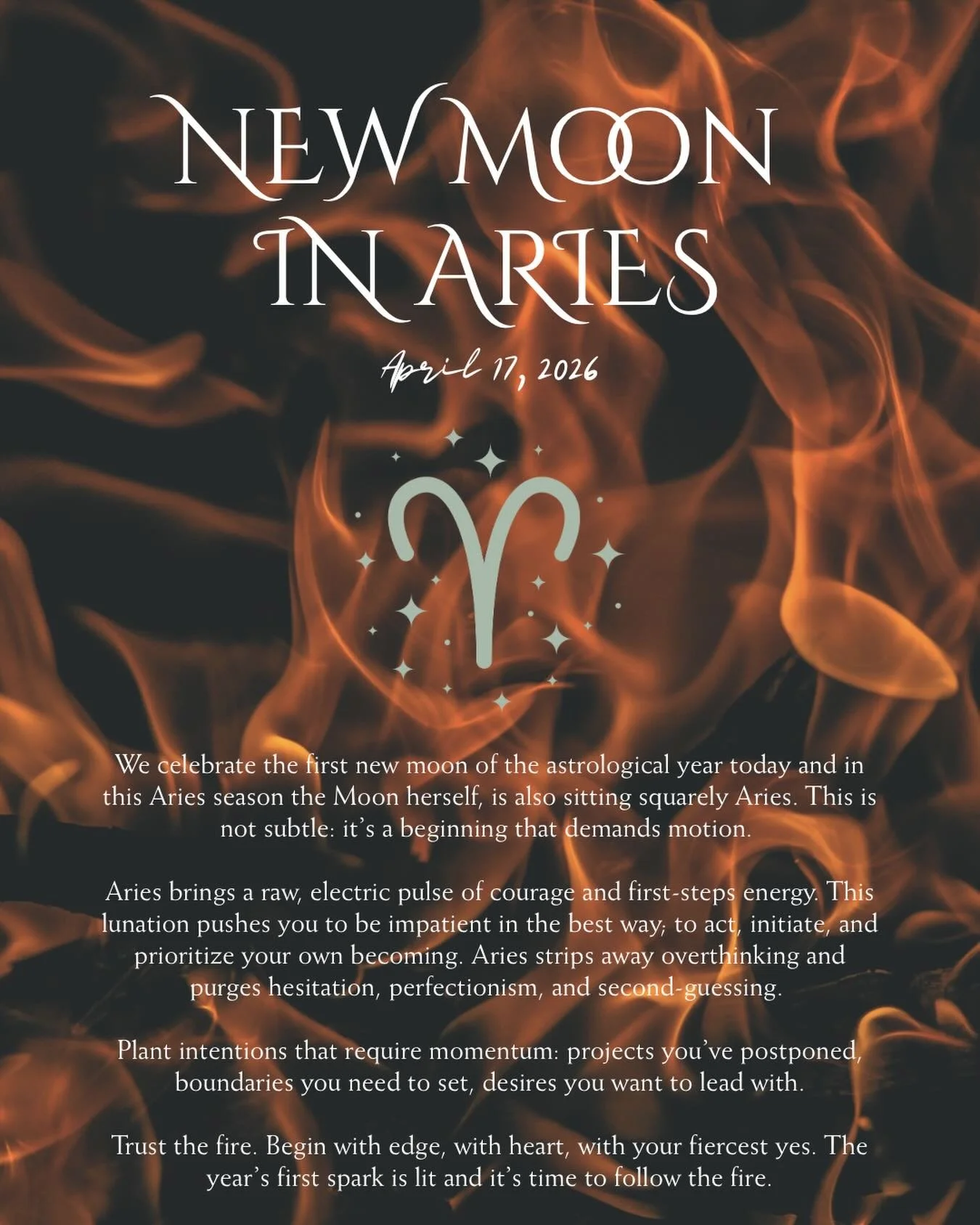 🌑✨This powerful New Moon in Aries carries energy centered around trusting yourself and embracing spontaneity. Be impulsive. Be impatient. Trust yourself to honor what you know is true and take action on what will carry you forward.
