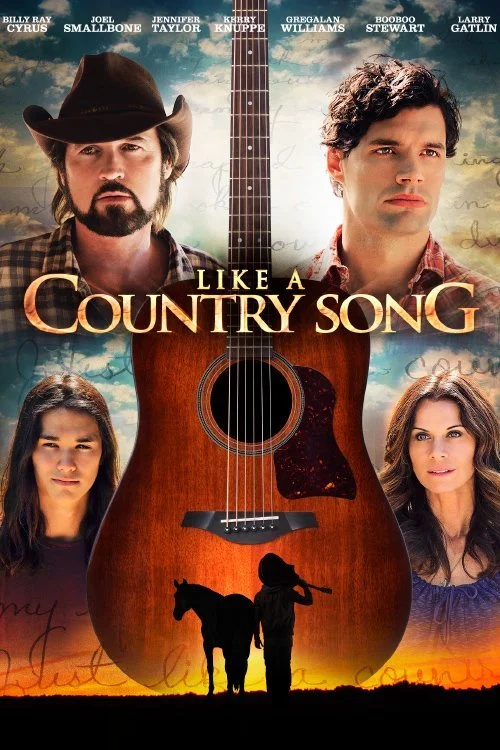 Like A Country Song