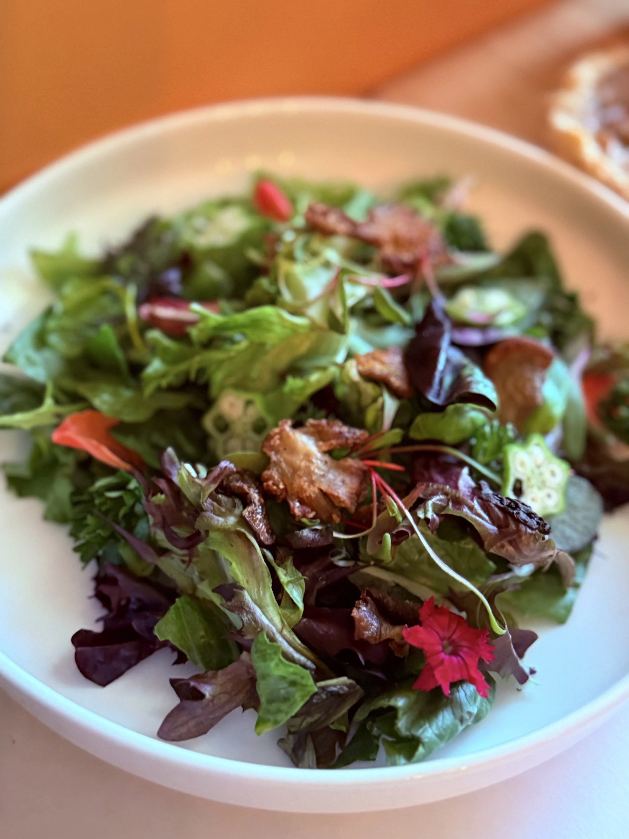 mushsalad.jpeg