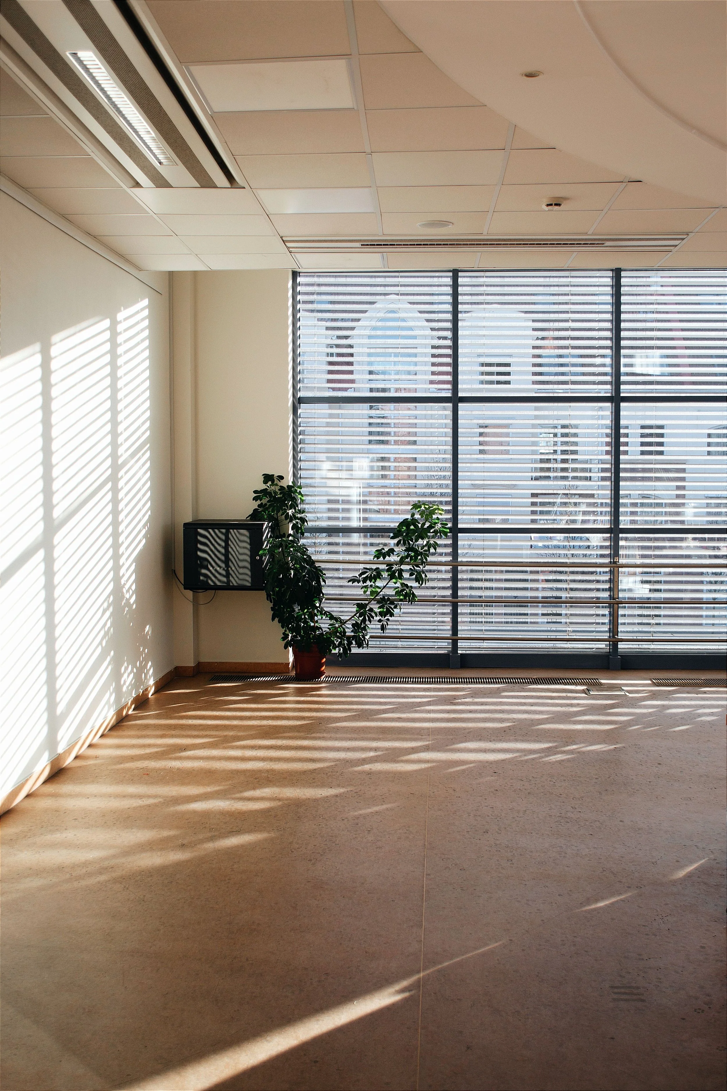 The corner of a vacant office with beige carpet, a window with horizontal blinds casting striped shadows, a potted plant, and a small black television on the wall.